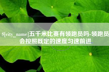 嘉峪关五千米比赛有领跑员吗-领跑员会按照既定的速度匀速前进