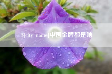 嘉峪关中国金牌都是啥