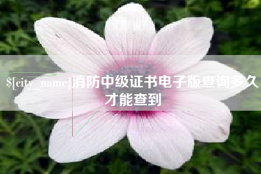 嘉峪关消防中级证书电子版查询多久才能查到