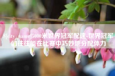 嘉峪关5000米世界冠军配速-世界冠军们往往能在比赛中巧妙地分配体力
