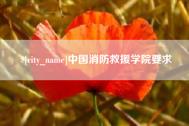 嘉峪关中国消防救援学院要求