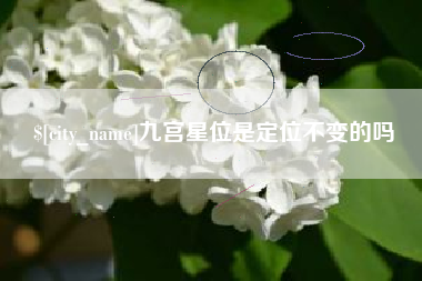 嘉峪关九宫星位是定位不变的吗
