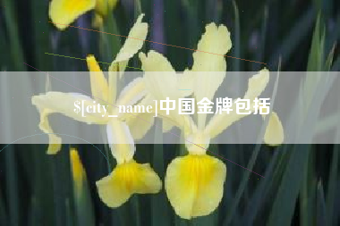 嘉峪关中国金牌包括