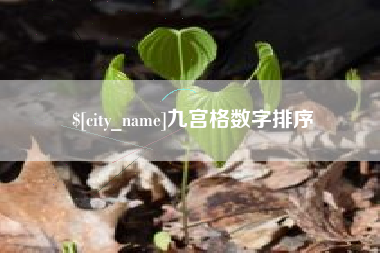 嘉峪关九宫格数字排序
