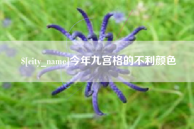 嘉峪关今年九宫格的不利颜色