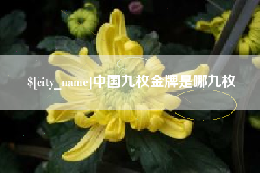 嘉峪关中国九枚金牌是哪九枚