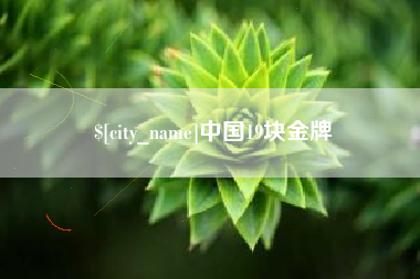 嘉峪关中国19块金牌