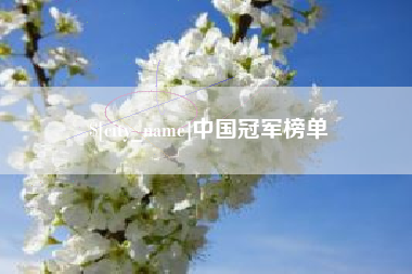 嘉峪关中国冠军榜单