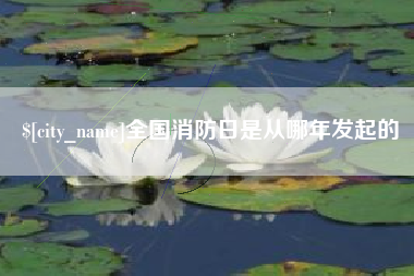 嘉峪关全国消防日是从哪年发起的