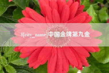 嘉峪关中国金牌第九金