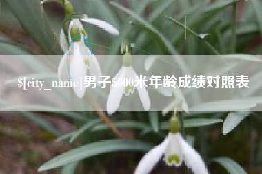 嘉峪关男子5000米年龄成绩对照表