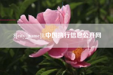 嘉峪关1.中国执行信息公开网