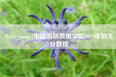 嘉峪关中国消防救援学院2024年招生分数线