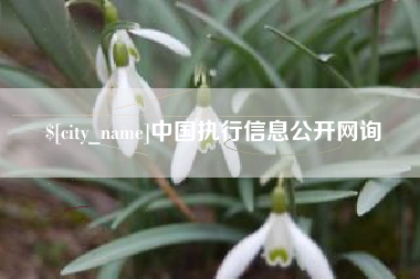 嘉峪关中国执行信息公开网询