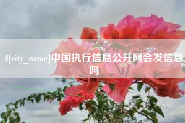 嘉峪关中国执行信息公开网会发信息吗