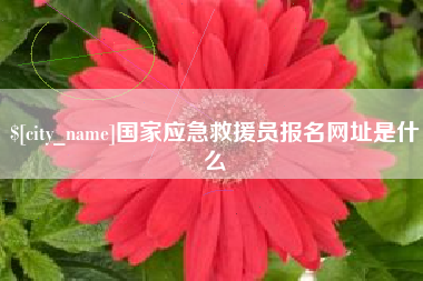 嘉峪关国家应急救援员报名网址是什么