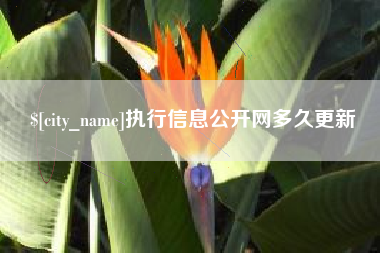 嘉峪关执行信息公开网多久更新