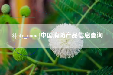 嘉峪关中国消防产品信息查询
