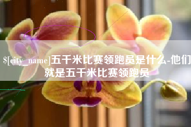 嘉峪关五千米比赛领跑员是什么-他们就是五千米比赛领跑员