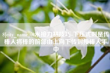 嘉峪关60米接力赛技巧-下压式则是传棒人将棒的前部由上向下传到接棒人手中