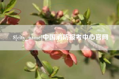 嘉峪关中国消防报考中心官网