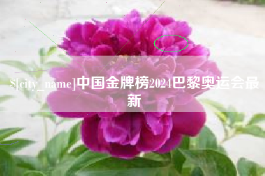 嘉峪关中国金牌榜2024巴黎奥运会最新