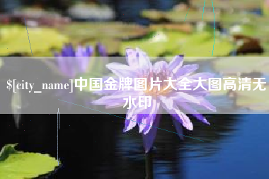 嘉峪关中国金牌图片大全大图高清无水印