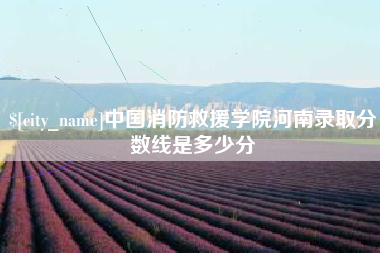 嘉峪关中国消防救援学院河南录取分数线是多少分