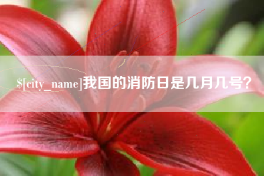 嘉峪关我国的消防日是几月几号？