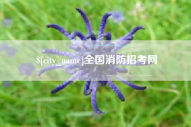 嘉峪关全国消防招考网