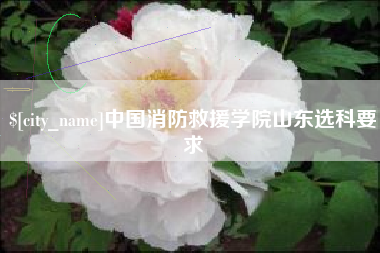 嘉峪关中国消防救援学院山东选科要求