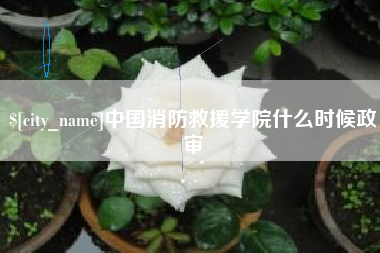 嘉峪关中国消防救援学院什么时候政审