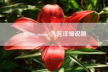 嘉峪关九宫详细说明