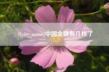 嘉峪关中国金牌有几枚了