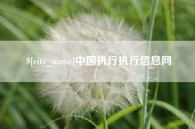嘉峪关中国执行执行信息网