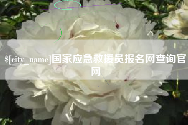 嘉峪关国家应急救援员报名网查询官网