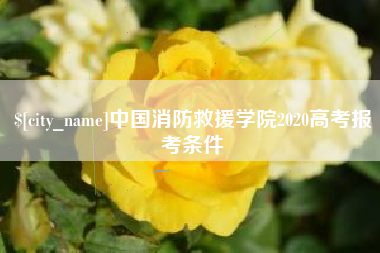 嘉峪关中国消防救援学院2020高考报考条件