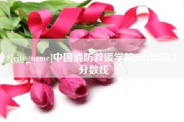 嘉峪关中国消防救援学院2021年招生分数线