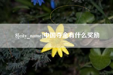 嘉峪关中国夺金有什么奖励