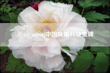 嘉峪关中国队第八块金牌