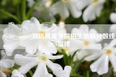 嘉峪关消防救援学院招生录取分数线2020福建
