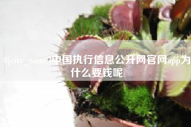 嘉峪关中国执行信息公开网官网app为什么要钱呢