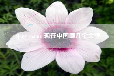 嘉峪关现在中国哪几个金牌