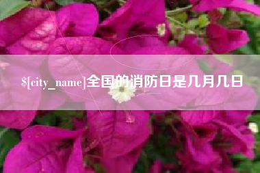 嘉峪关全国的消防日是几月几日