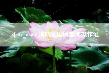 嘉峪关消防证国网查询操作证