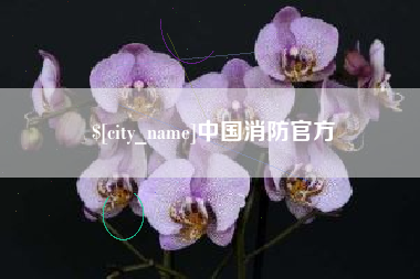 嘉峪关中国消防官方