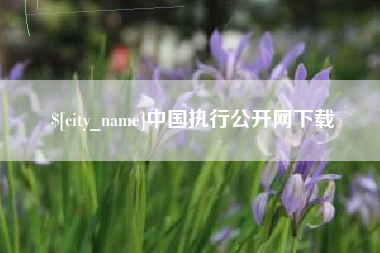 嘉峪关中国执行公开网下载