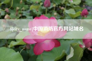 嘉峪关中国消防官方网站域名