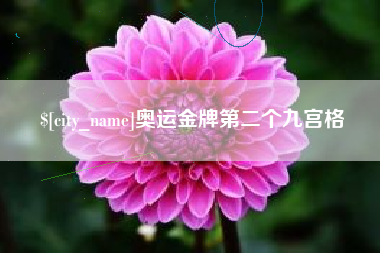 嘉峪关奥运金牌第二个九宫格
