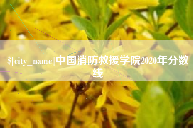 嘉峪关中国消防救援学院2020年分数线